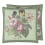 Botany Sage Cushion John Derian Sage CCJD5086