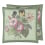 Coussin Botany Sage John Derian Sage CCJD5086