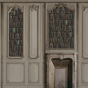 Papier peint panoramique Boiserie Haussmannienne Bronze Bibliothèque