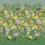 Panoramatapete Fleurs d'Artistes Designers Guild Vintage Green PDG1170/01