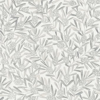 Zulma Wallpaper
