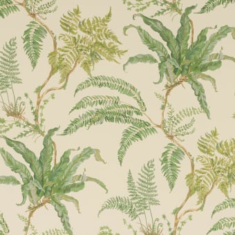 Tapete Woodfern