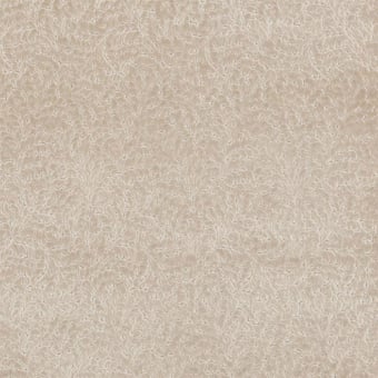 Velluto Cartouche