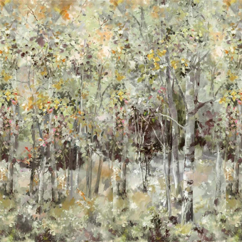 Papeles pintados panorámico Bois De Bouleau