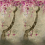 Carta da parati panoramica Shinsha Blossom Scene 2 Designers Guild Rose PDG1117/01