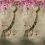 Papeles pintados panorámico Shinsha Blossom Scene 2 Designers Guild Rose PDG1117/01