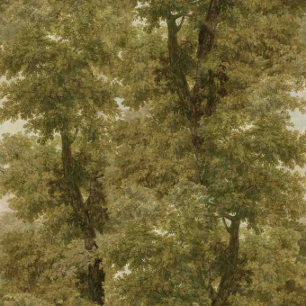Papier peint panoramique Branchy