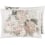 Fleurs d'Artistes Cushion Designers Guild Sépia CCDG1463