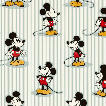 Mickey Stripe fabric