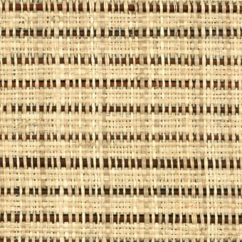 Raphia Buri Fabric