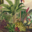 Carta da parati panoramica Reverie Tropicale Arte Jungle Green 26770