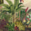 Panoramatapete Reverie Tropicale Arte Jungle Green 26770