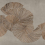 Papeles pintados panorámico Diving Moment Coordonné Beige A00944_01
