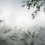 Papier peint panoramique Orée de Forêt dans la Brume Koziel Noir Blanc CUST-BRUM05