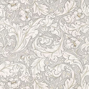 Carta da parati Pure Bachelors Button