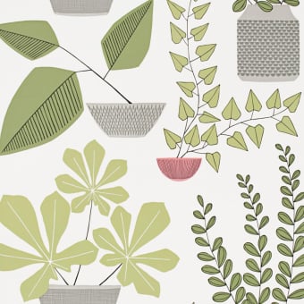 Carta da parati House Plants