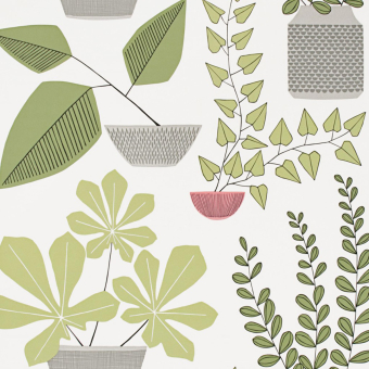 Papel pintado House Plants