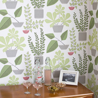 Papel pintado House Plants