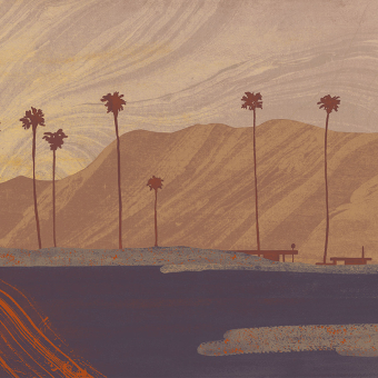 Papier peint panoramique Palms View