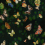 Magic Butterflies Wallpaper Coordonné Nuit 9500050
