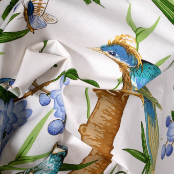 Toucans Fabric