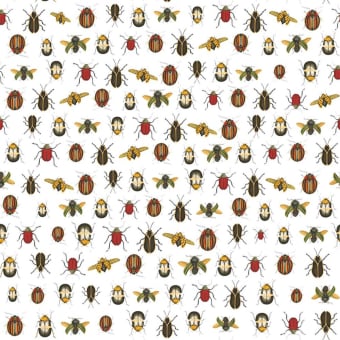 Coleopter Wallpaper