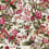 Tissu Pheasans Charles Burger Peony 2552003