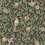 Bird & Pomegranate Wallpaper Morris and Co Charcoal/Sage DARW212537