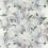 Carta da parati Peonia Designers Guild Ivory PDG1094/02