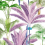 Palmeras Fabric Mindthegap Green/pink/Purple FB00006