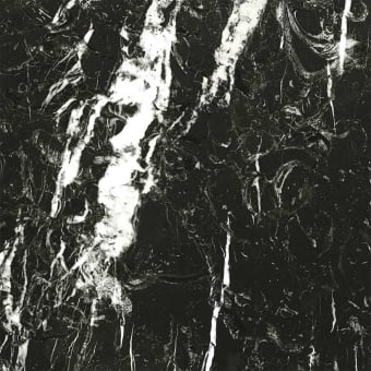 Panoramatapete Marbre Nero