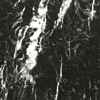 Papier peint panoramique Marbre Nero