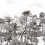 Papier peint panoramique Amazone Isidore Leroy Acajou 6241666
