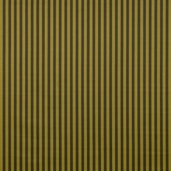 Stripes Fabric