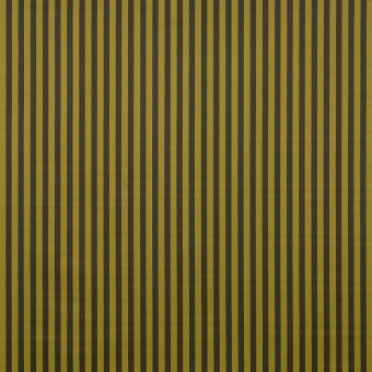 Tissu Stripes