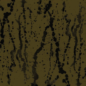 Carta da parati panoramica HoOpacoa Tachy