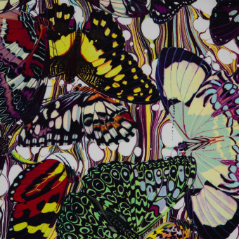 Tissu Papillons