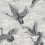 Papier peint Imperial Ibis Coordonné Swan B00134