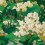 Yu Garden Wallpaper Coordonné Emerald B00148