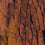 Plumage Panel Ressource Orange PL03L
