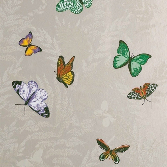 Carta da parati Farfalla Gris Nina Campbell