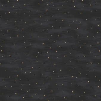 Panoramatapete Les Etoiles