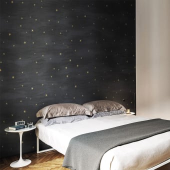 Les Etoiles Panel