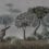 Papier peint panoramique For&ecirc;t Londonart Argent MUN07-D