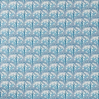 The Savaric Fabric