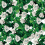 Papeles pintados panorámico Eyes & rosas London Art White 11TP-02