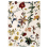 Teppich Flora Promenade nanimarquina 200x300 cm 01FLOPRO00008