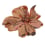 Tapis Flora Bloom 3 nanimarquina Pink 01FLOPROBLO03