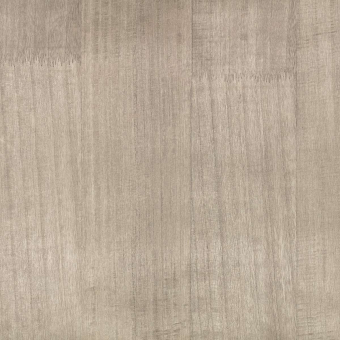 Papel pintado Paulownia