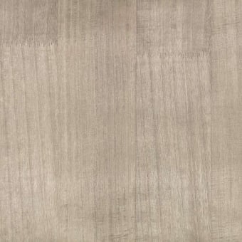 Paulownia Wallpaper